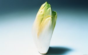电商文案优化策略：从点击到转化的全程